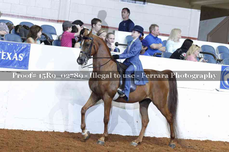 Proof Number 15R9_02789