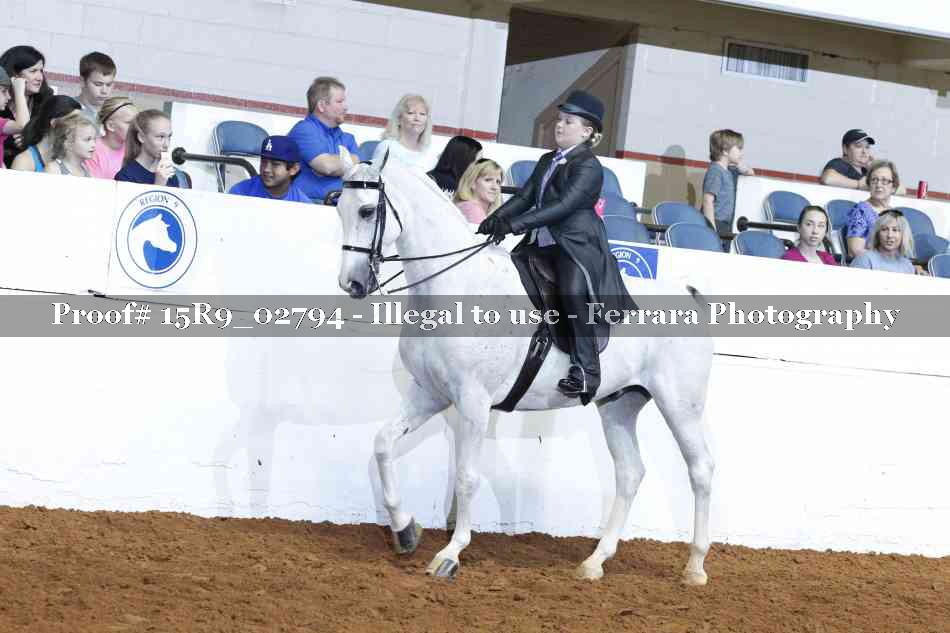 Proof Number 15R9_02794