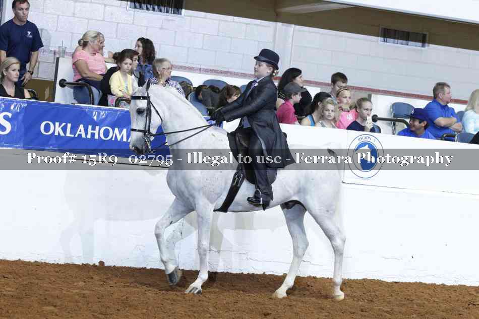 Proof Number 15R9_02795