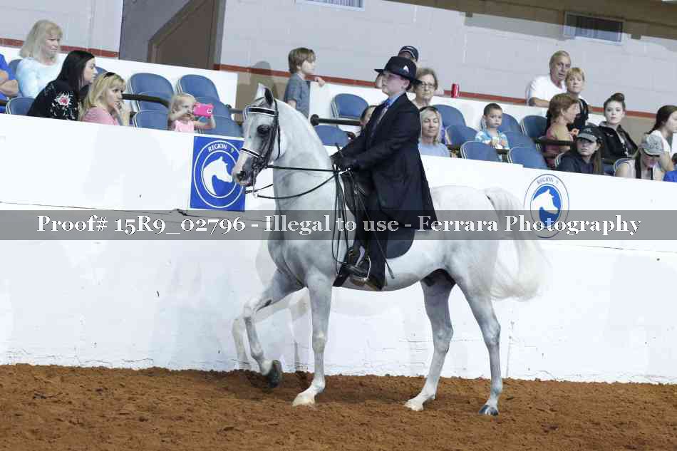 Proof Number 15R9_02796