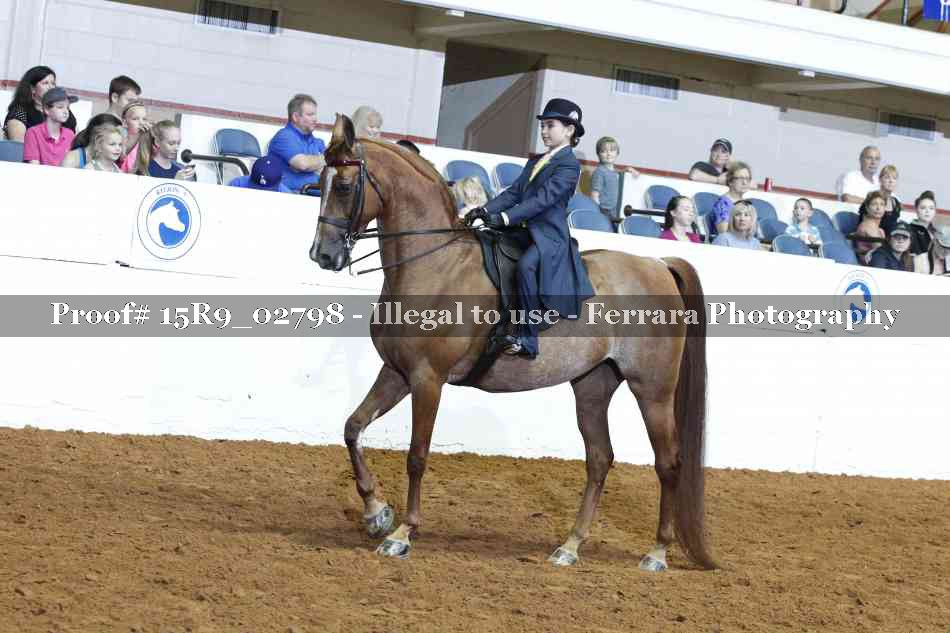 Proof Number 15R9_02798