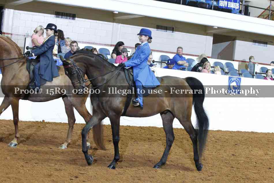 Proof Number 15R9_02800