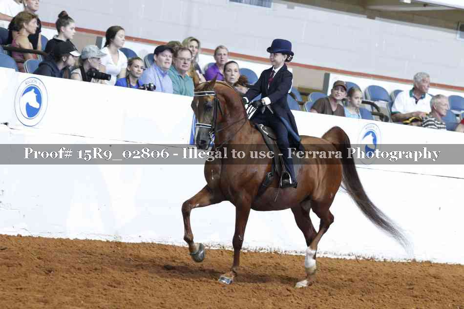 Proof Number 15R9_02806