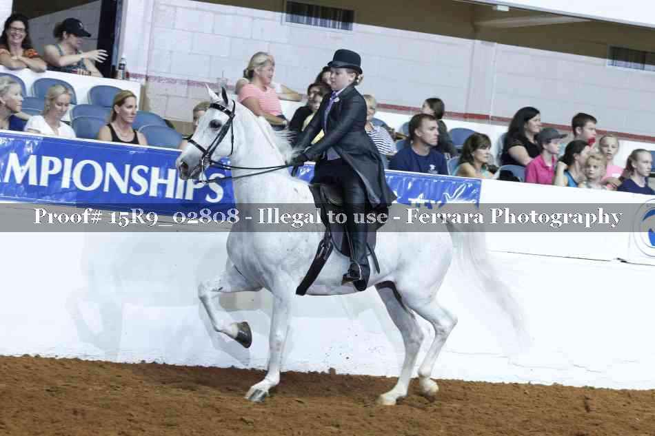 Proof Number 15R9_02808