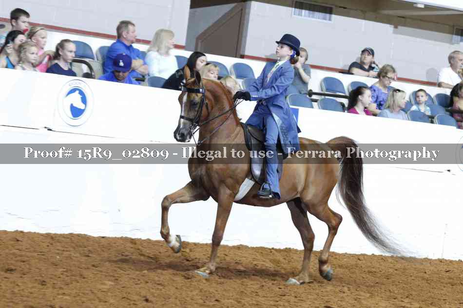 Proof Number 15R9_02809