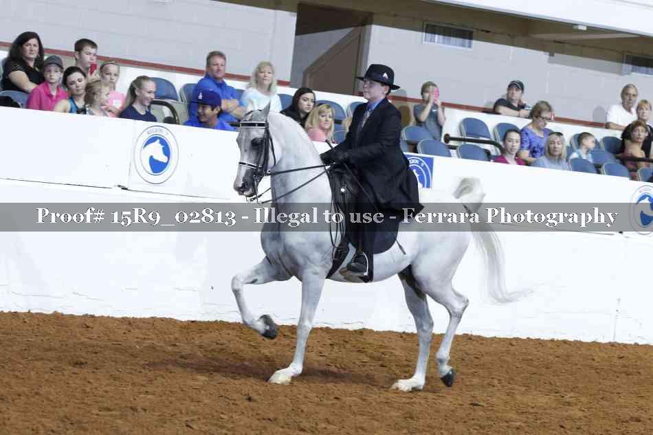 Proof Number 15R9_02813