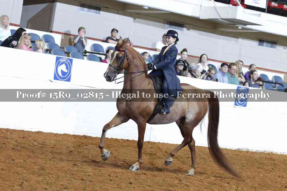 Proof Number 15R9_02815