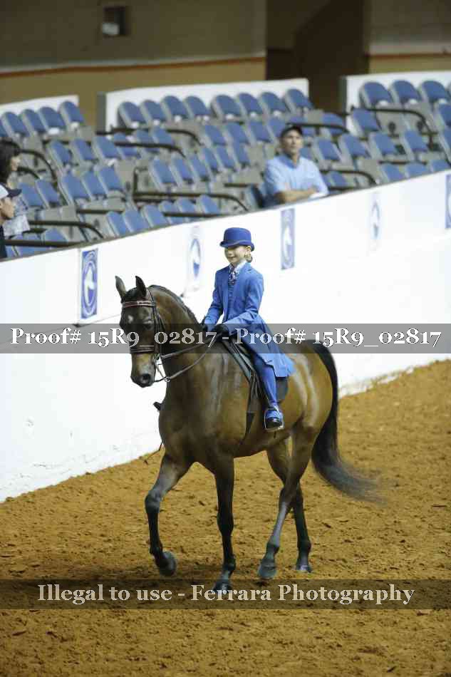 Proof Number 15R9_02817