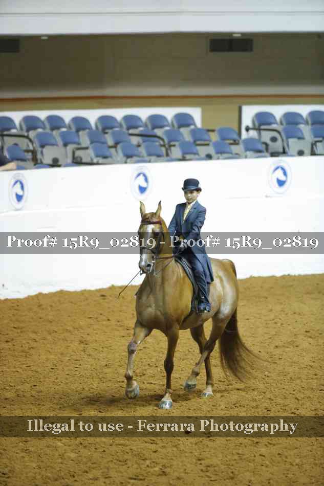 Proof Number 15R9_02819