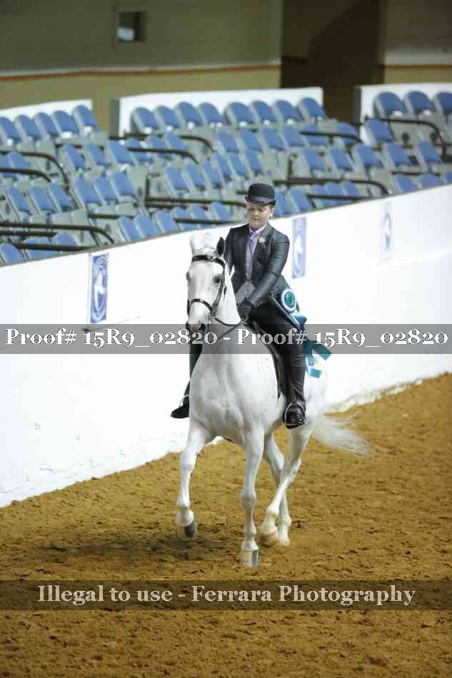 Proof Number 15R9_02820