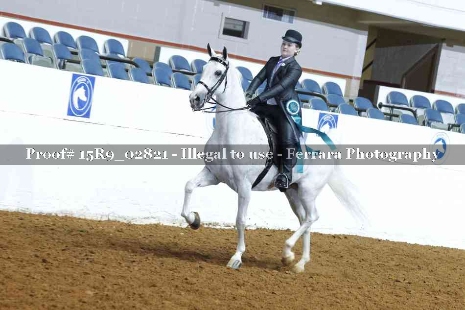 Proof Number 15R9_02821
