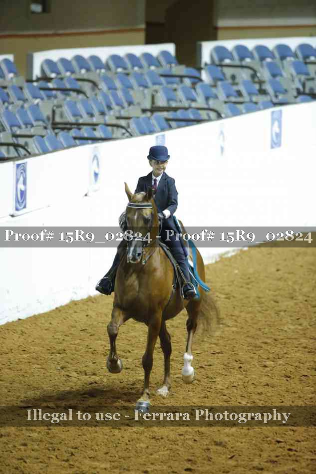 Proof Number 15R9_02824