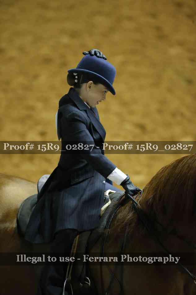 Proof Number 15R9_02827