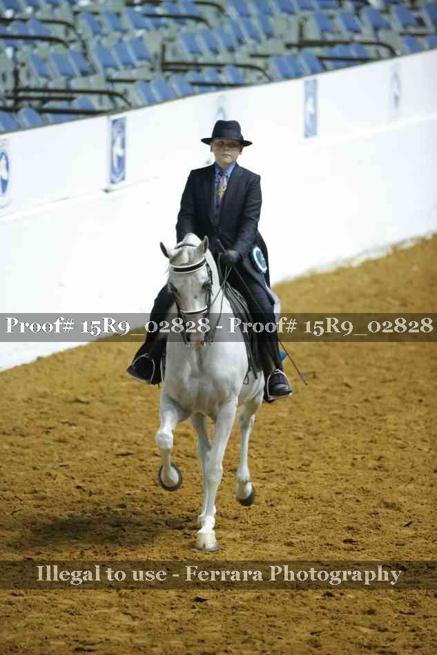 Proof Number 15R9_02828