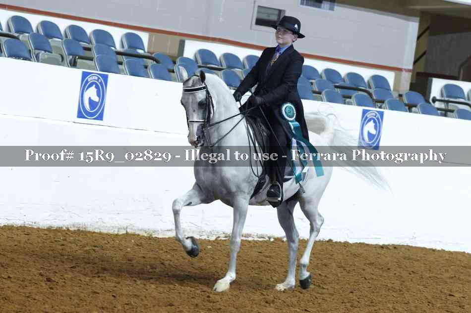 Proof Number 15R9_02829