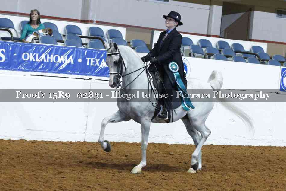 Proof Number 15R9_02831
