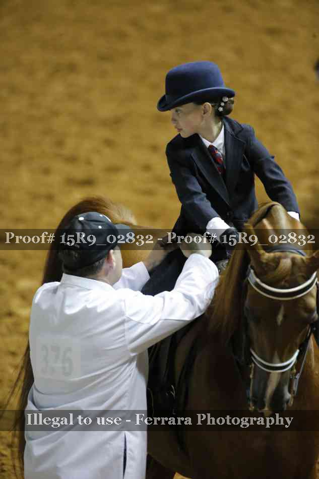 Proof Number 15R9_02832