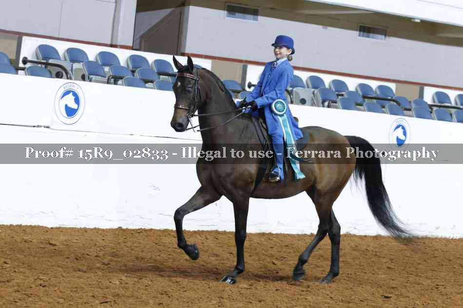 Proof Number 15R9_02833