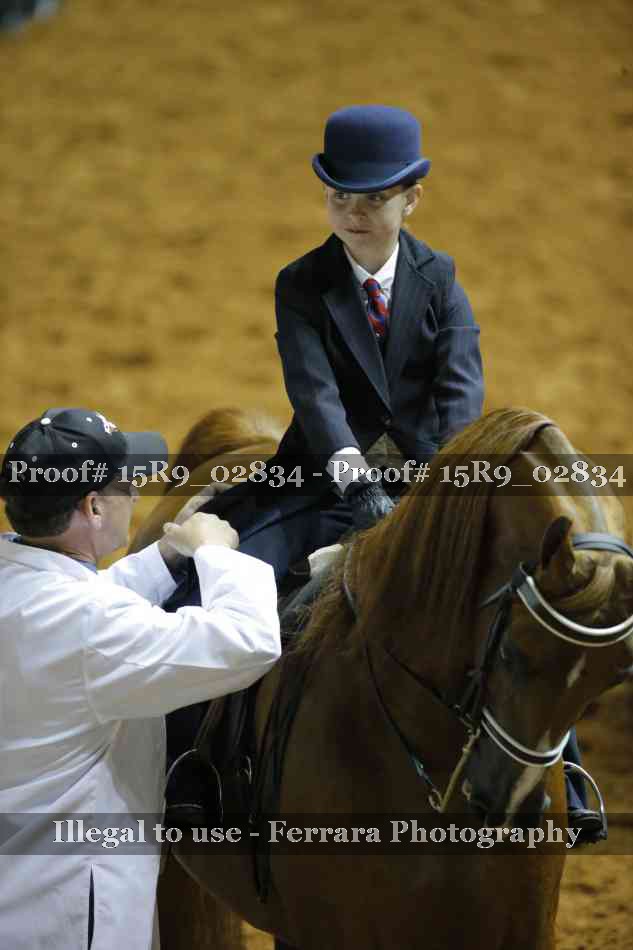 Proof Number 15R9_02834