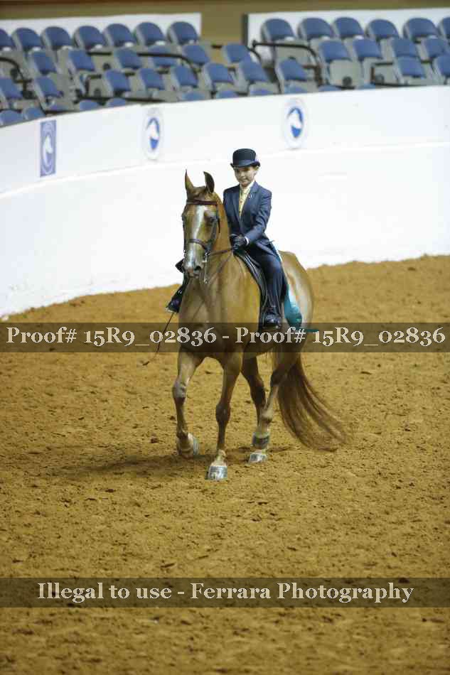 Proof Number 15R9_02836