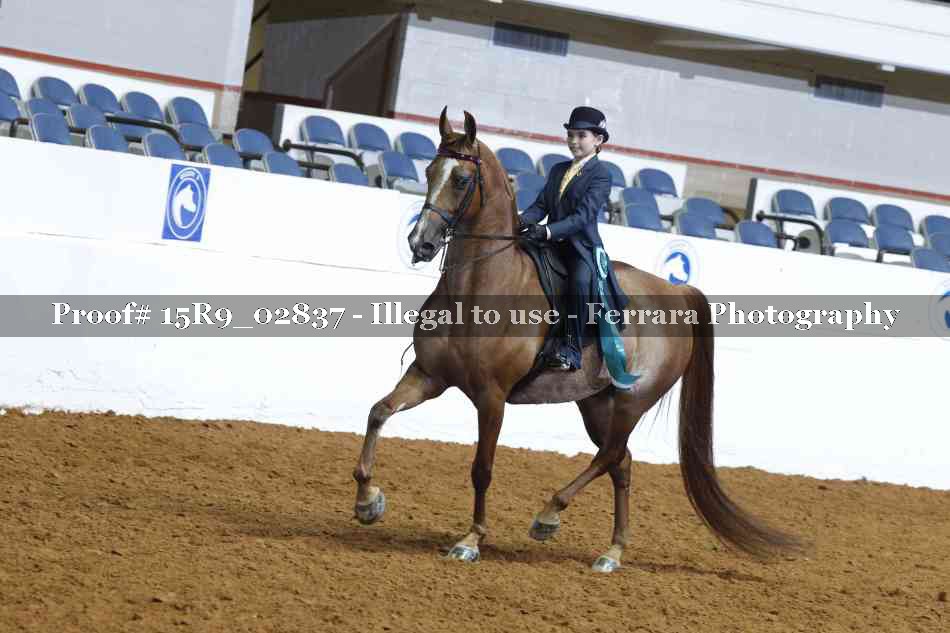 Proof Number 15R9_02837