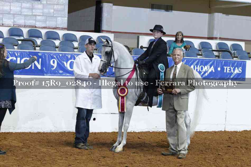 Proof Number 15R9_02840