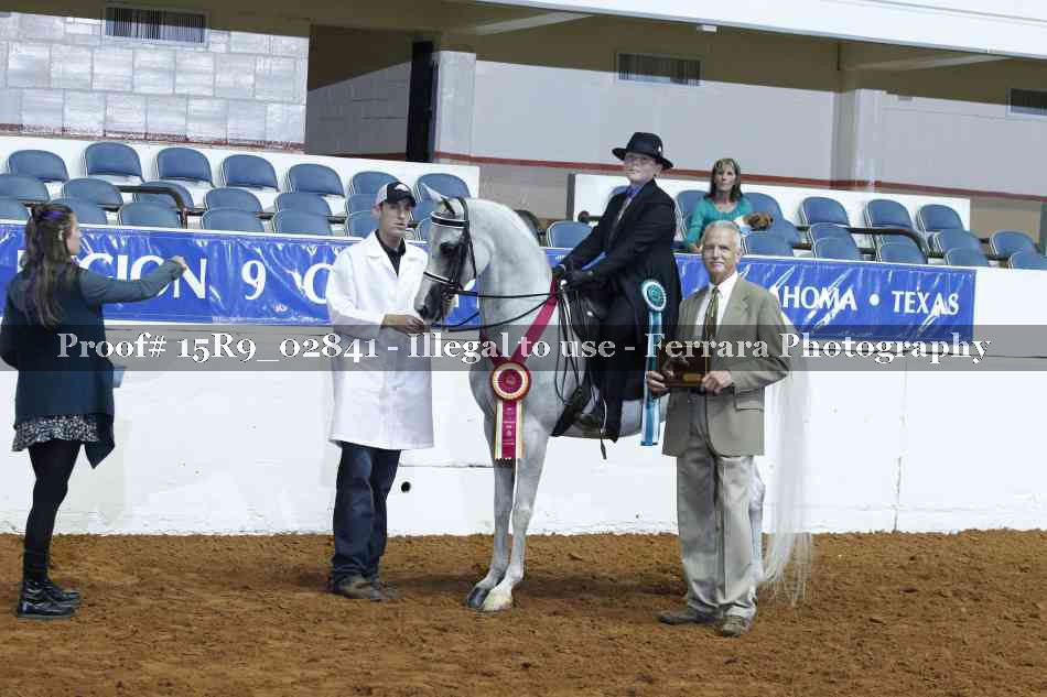 Proof Number 15R9_02841