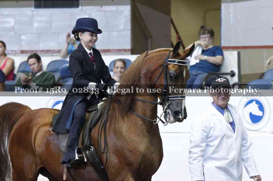 Proof Number 15R9_02843