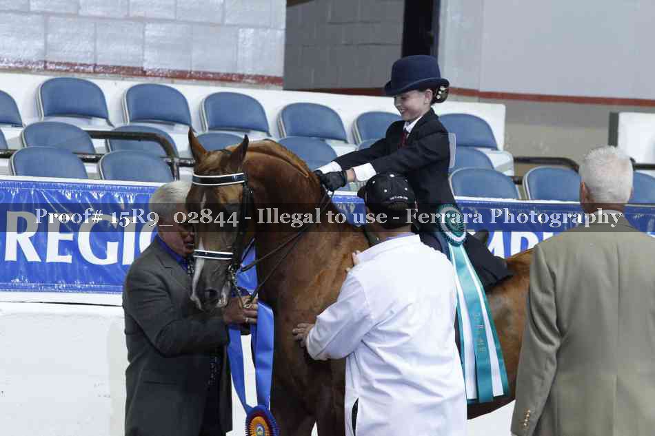 Proof Number 15R9_02844
