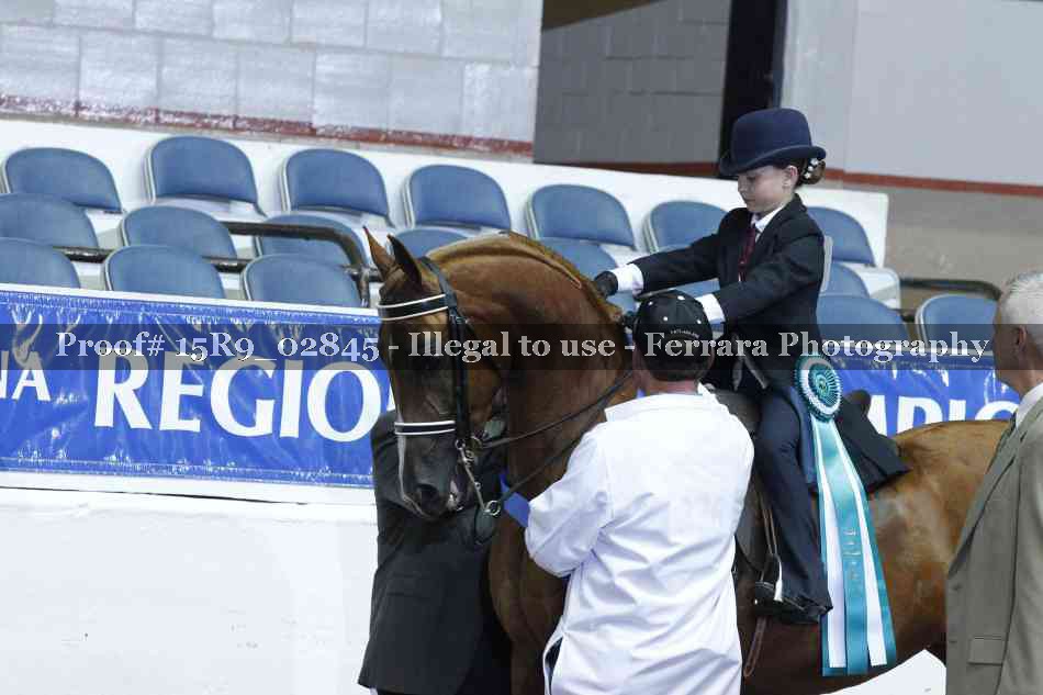 Proof Number 15R9_02845