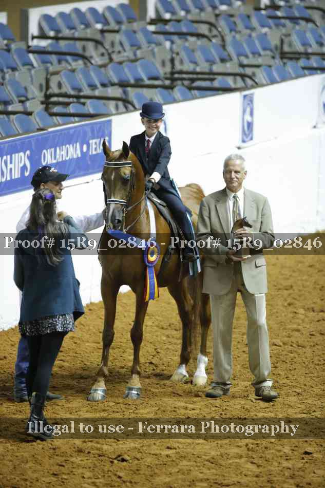 Proof Number 15R9_02846