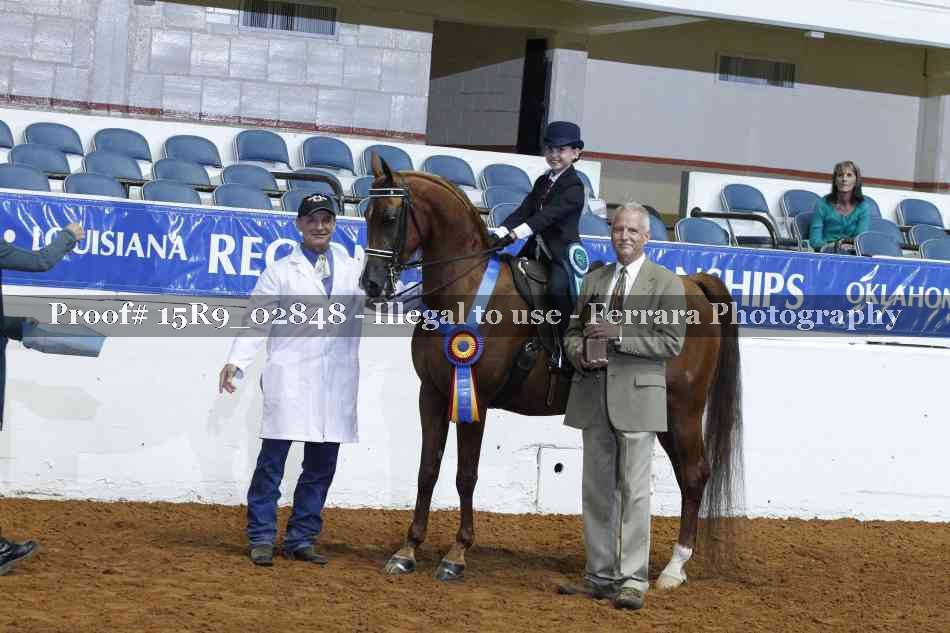 Proof Number 15R9_02848