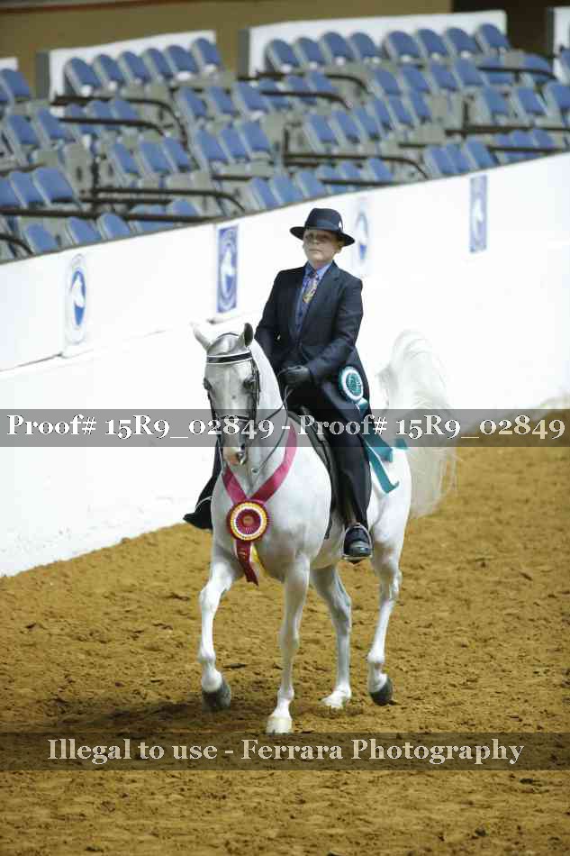 Proof Number 15R9_02849