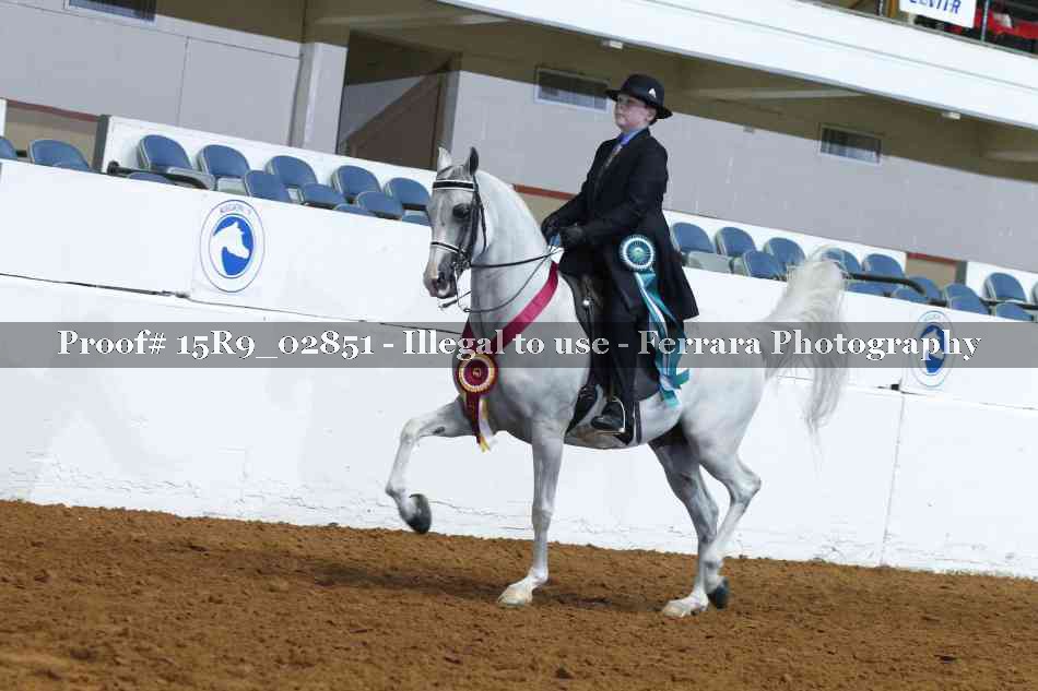 Proof Number 15R9_02851
