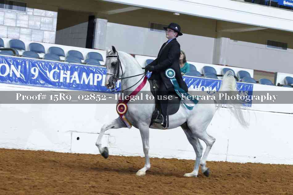 Proof Number 15R9_02852