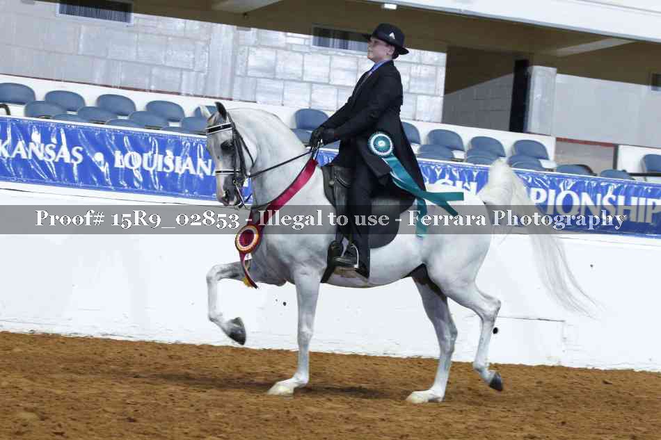 Proof Number 15R9_02853