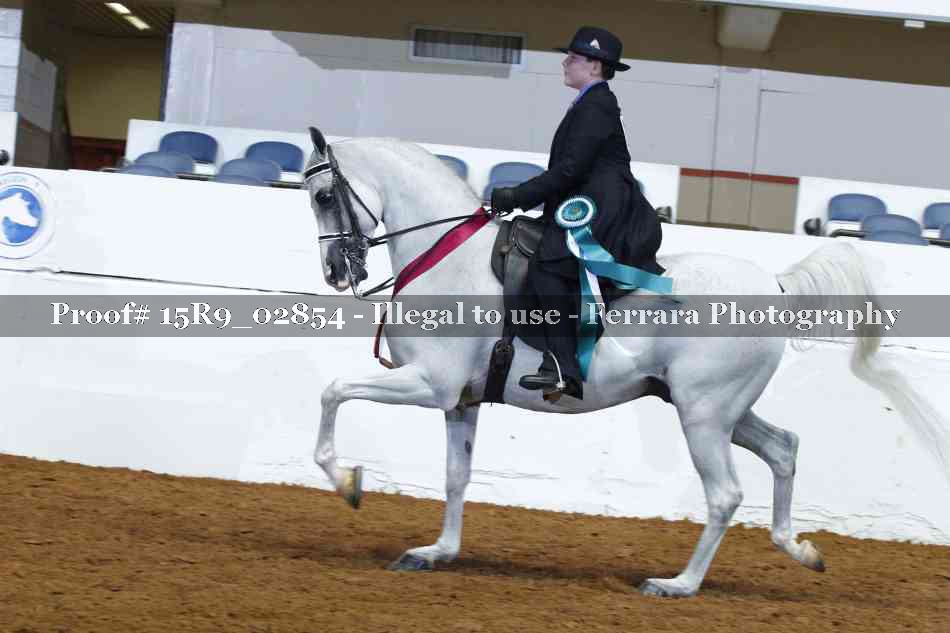 Proof Number 15R9_02854