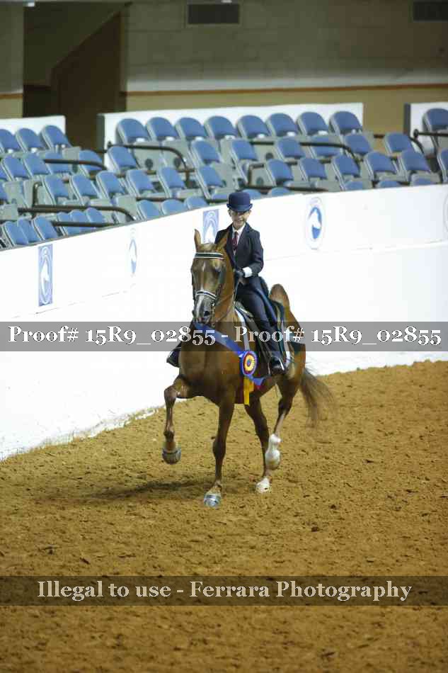 Proof Number 15R9_02855