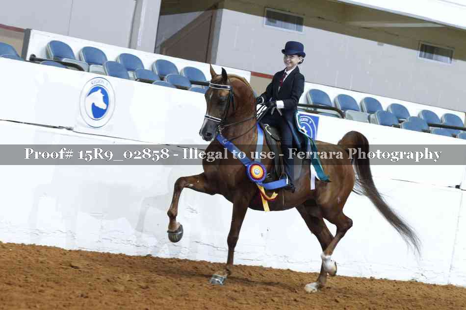 Proof Number 15R9_02858