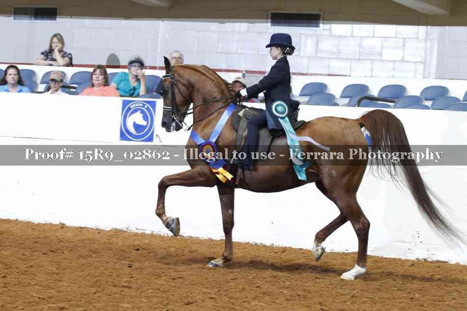 Proof Number 15R9_02862