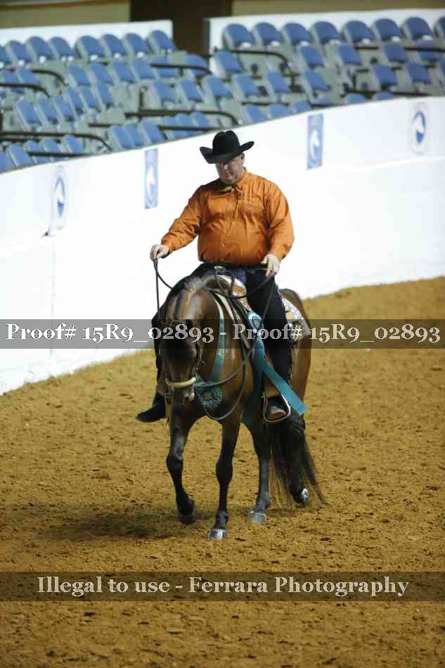 Proof Number 15R9_02893
