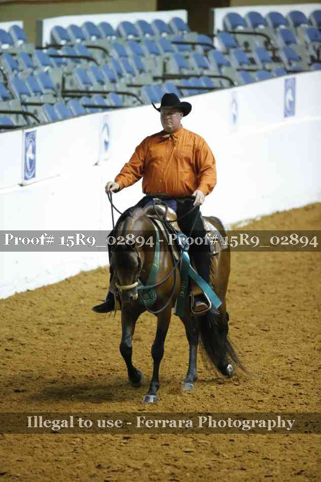 Proof Number 15R9_02894