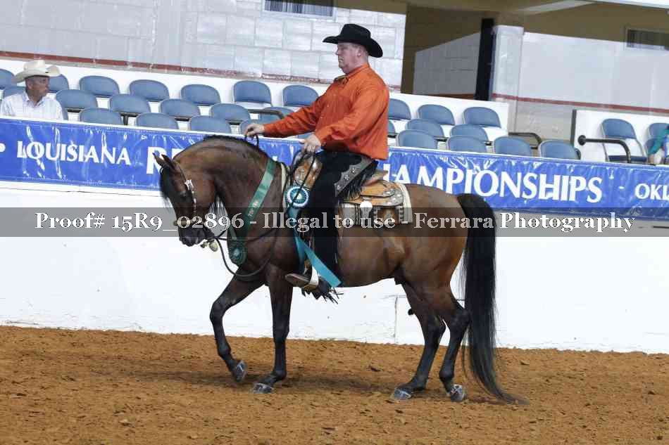Proof Number 15R9_02896