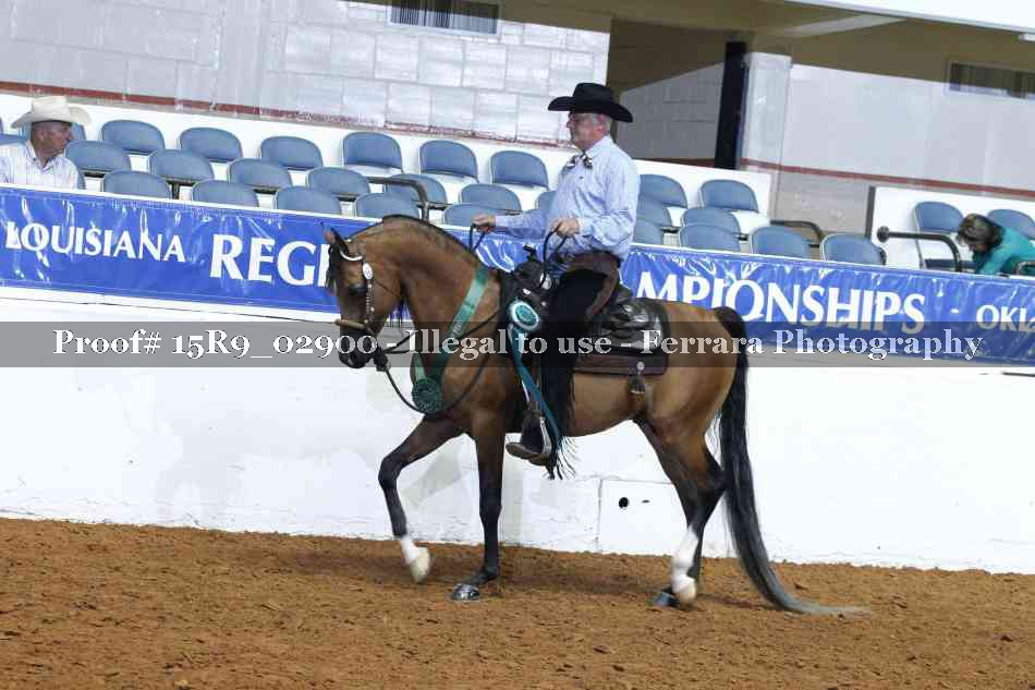 Proof Number 15R9_02900