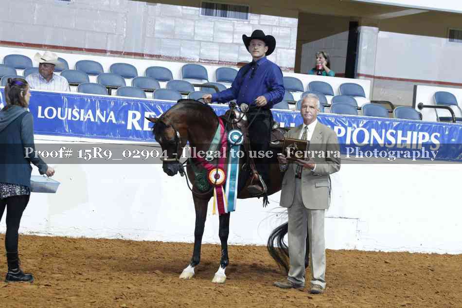 Proof Number 15R9_02904