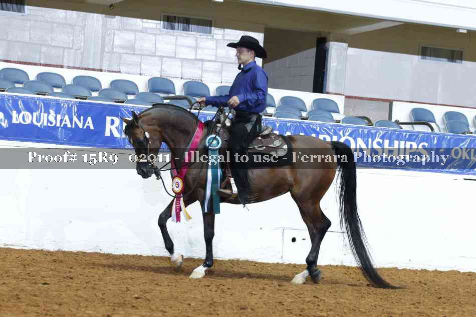 Proof Number 15R9_02911