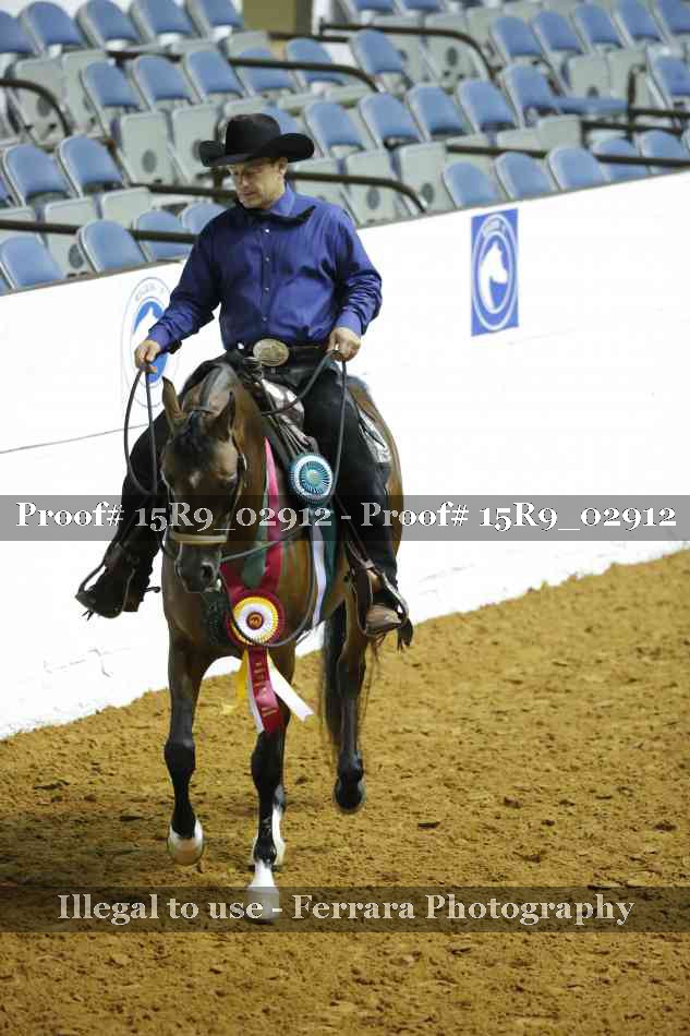 Proof Number 15R9_02912