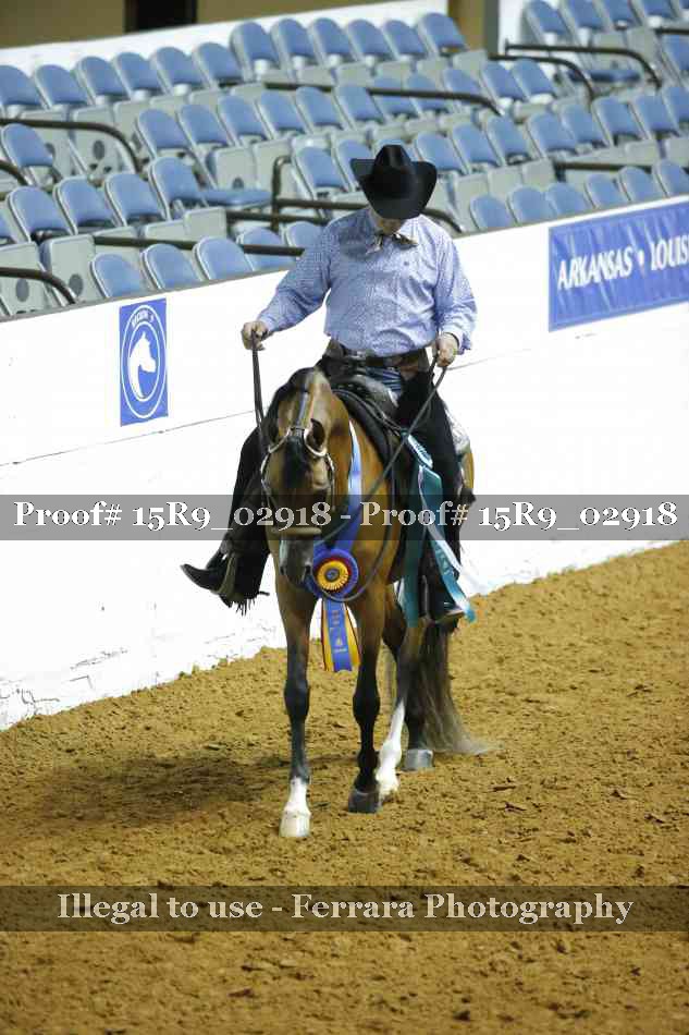 Proof Number 15R9_02918
