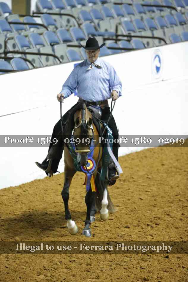 Proof Number 15R9_02919