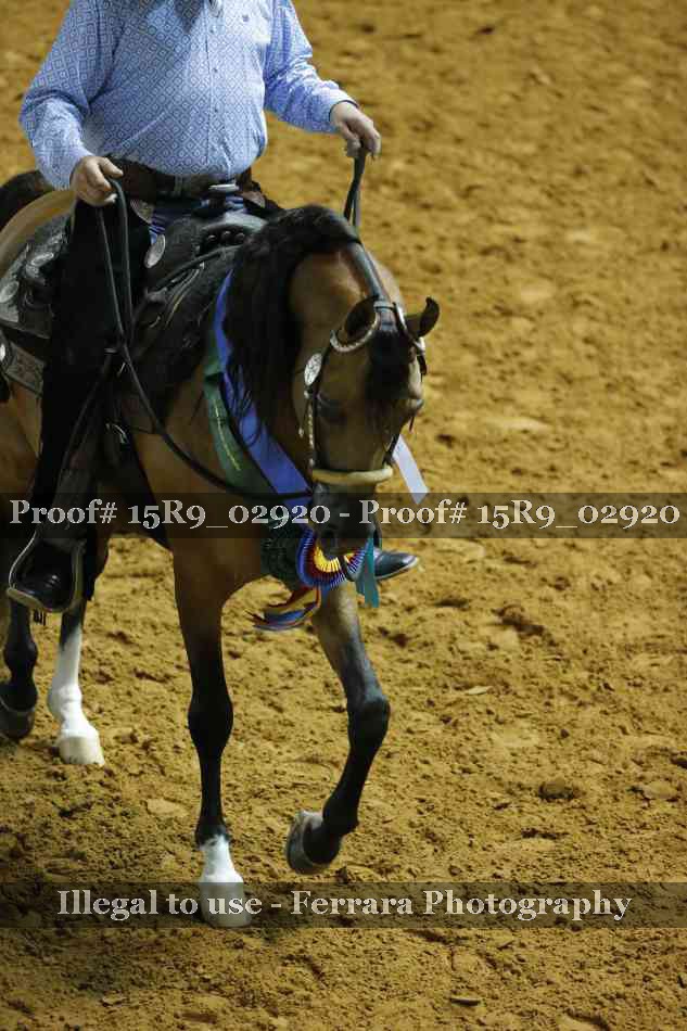 Proof Number 15R9_02920